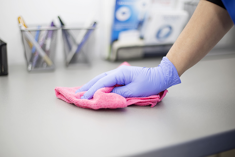 Les Dangers des Nuisibles dans les Entreprises