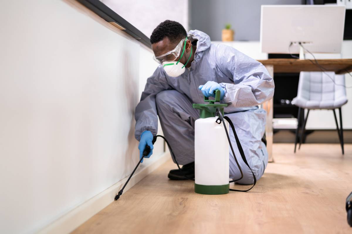 Lutte Professionnelle Contre les Nuisibles
