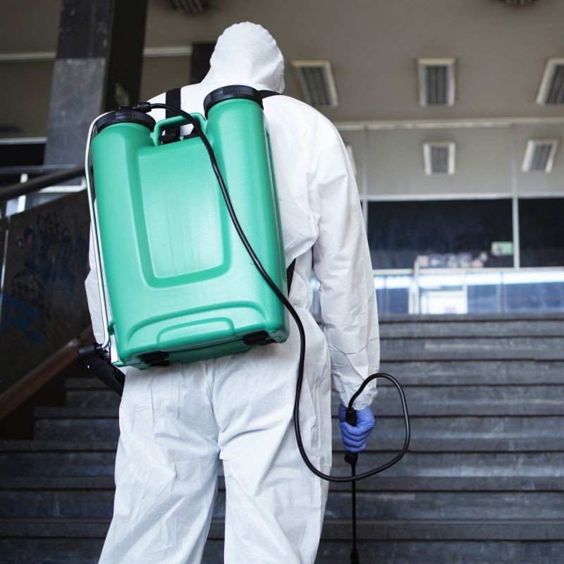 Désinfection en Île de France