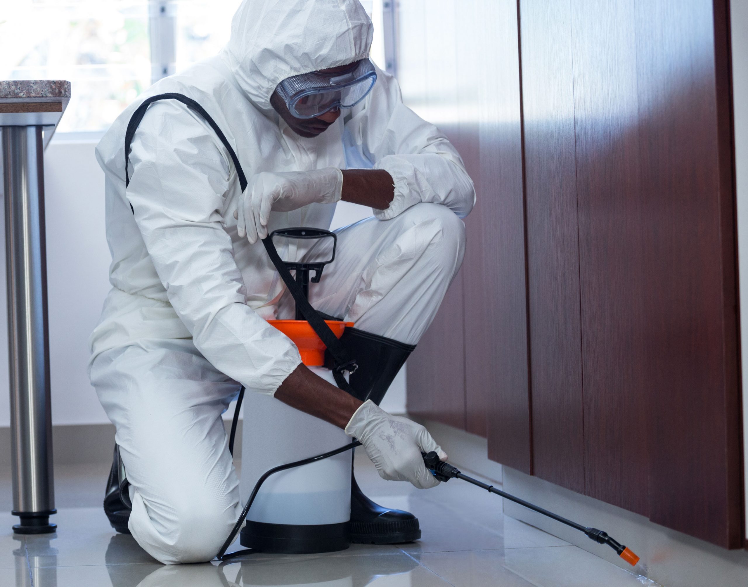 5 signes que vous avez besoin d'un service de lutte antiparasitaire