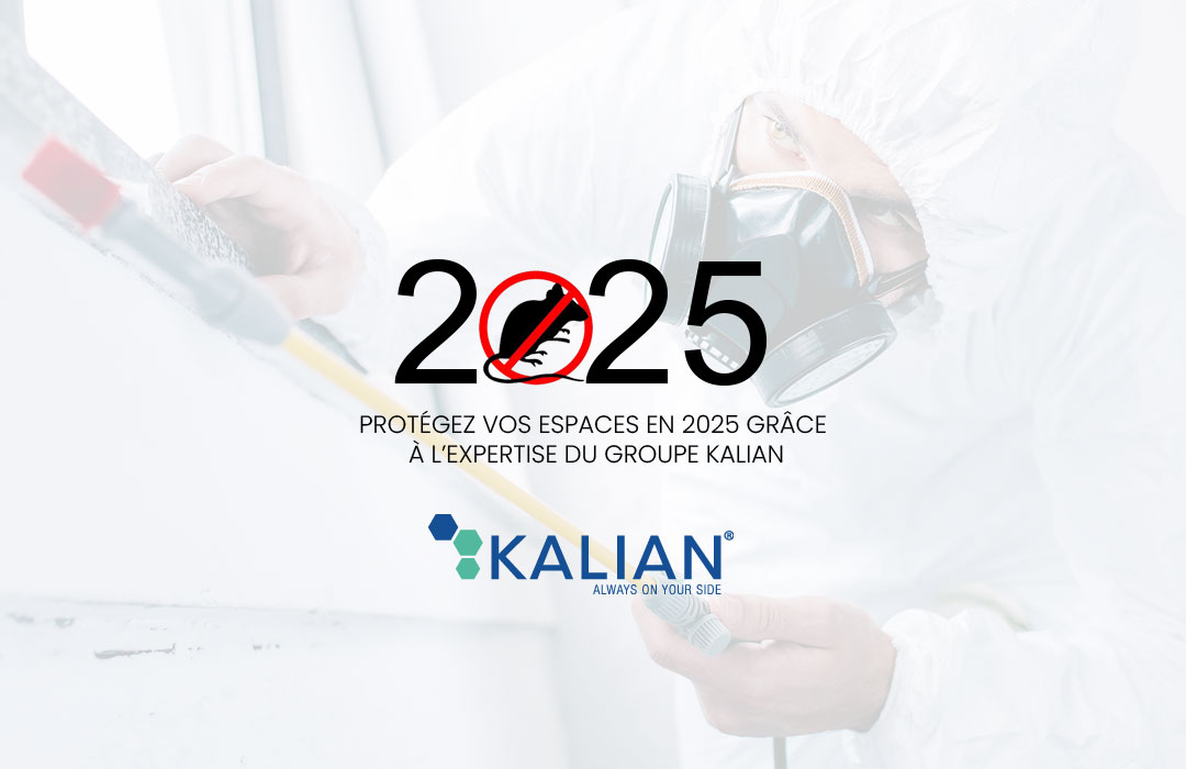 Votre expert en dératisation et lutte contre les nuisibles en 2025